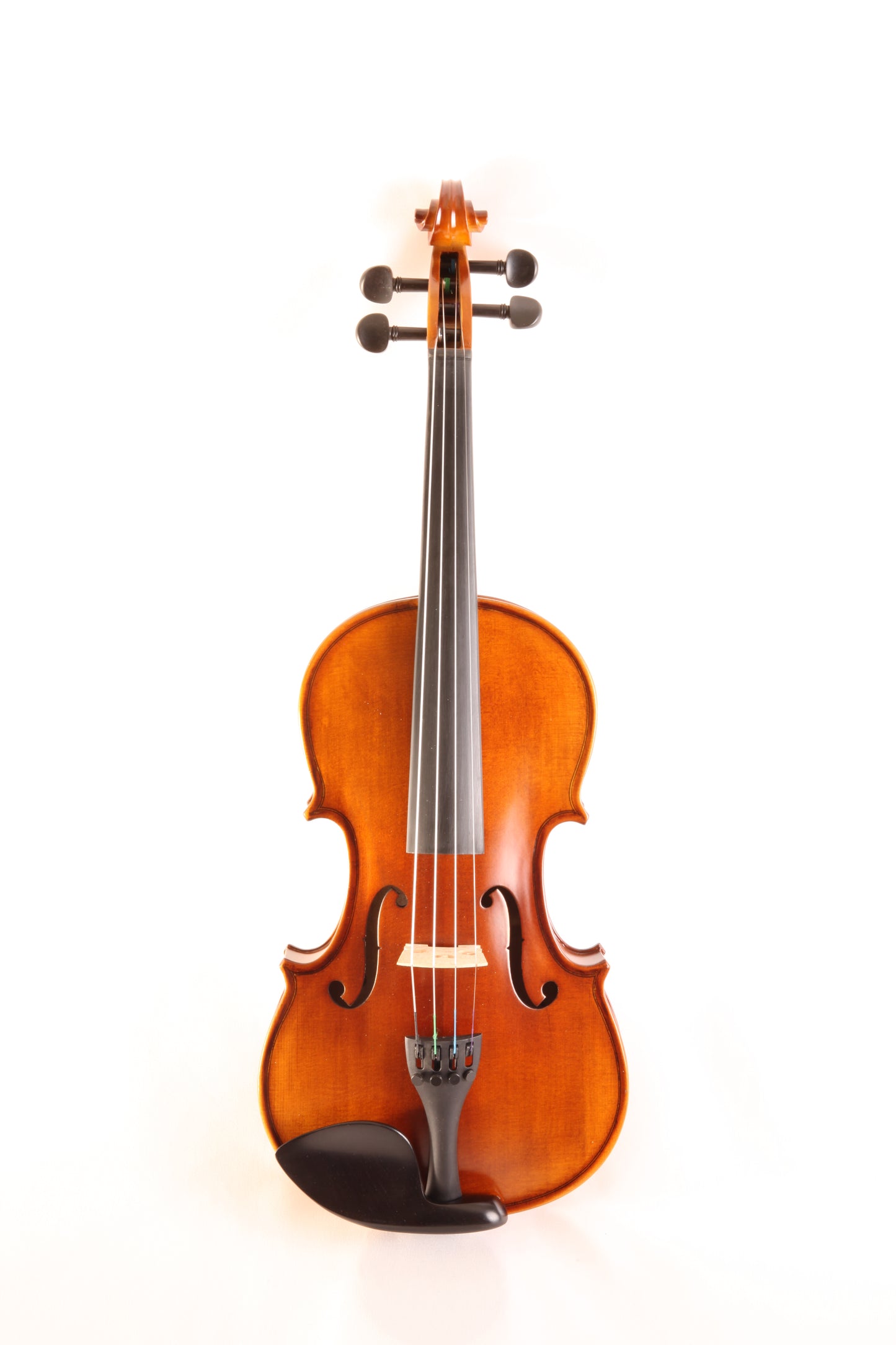 DX 10 Begginer Violin