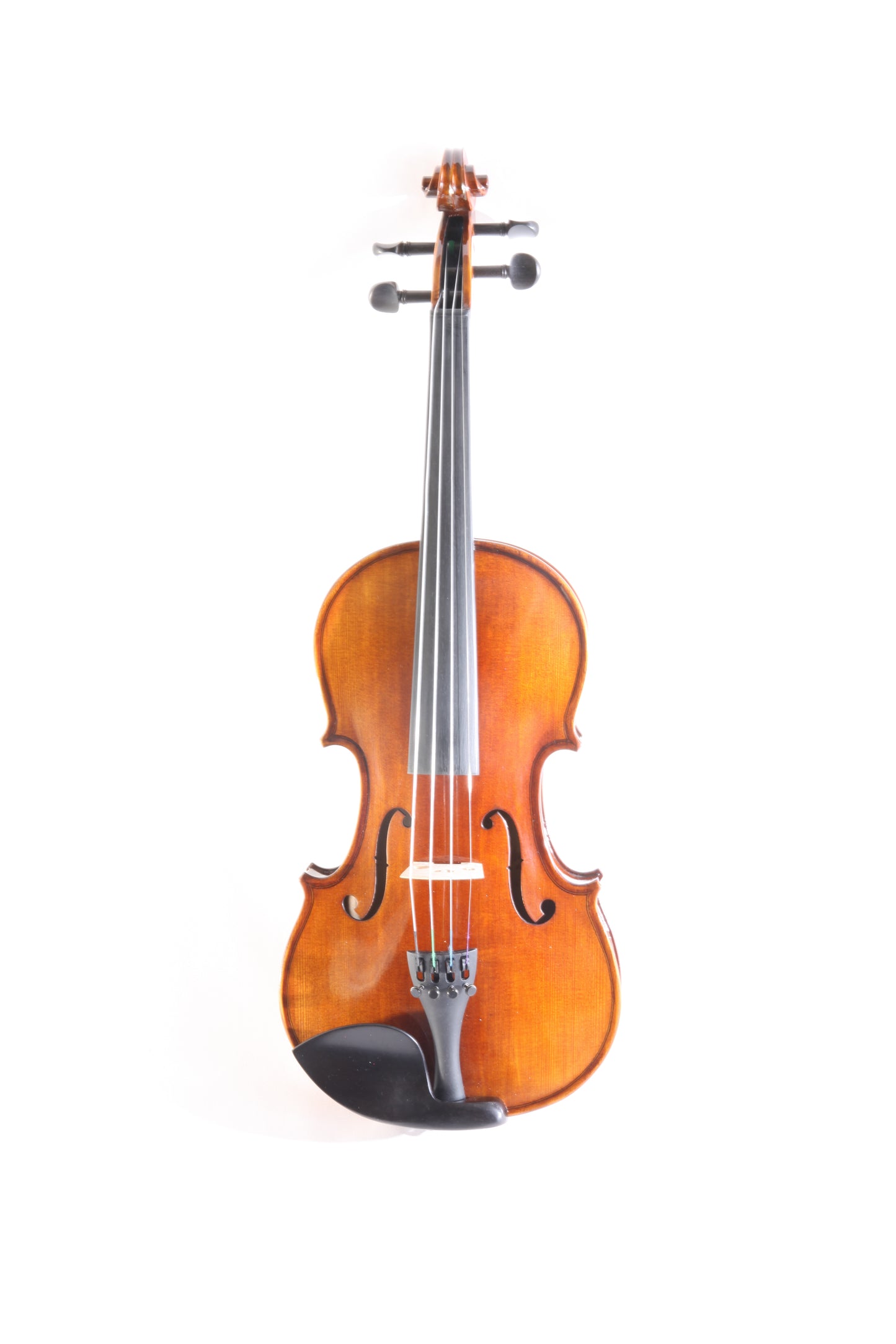 DX 20 Student Violin