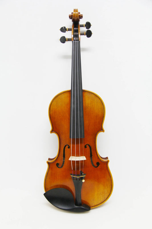 BOS Advanced Violin DX120